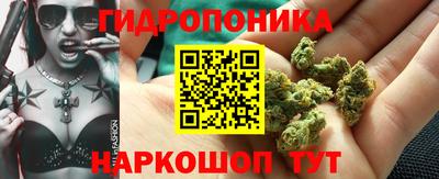 бошки Кинель