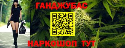 шишки Кимры
