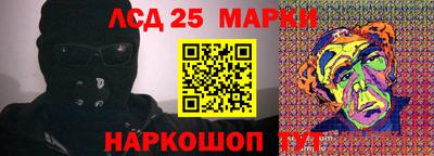 шишки Кимры