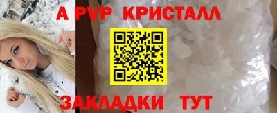 шишки Кимры