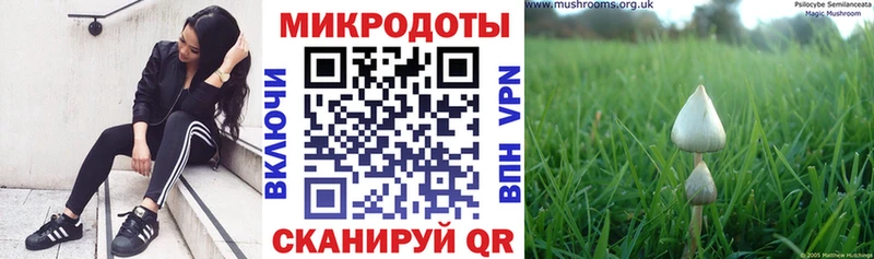 Галлюциногенные грибы MAGIC MUSHROOMS  как найти   Кашира 