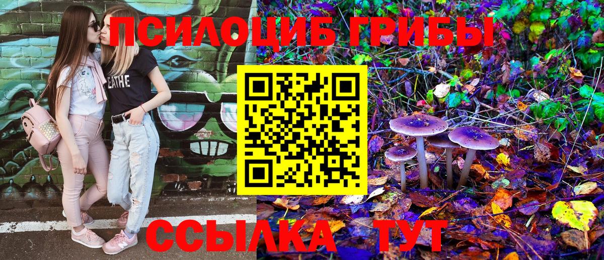 Кашира  Галлюциногенные грибы ЛСД  Псилоцибиновые грибы Magic Shrooms  Вход с VPN 
